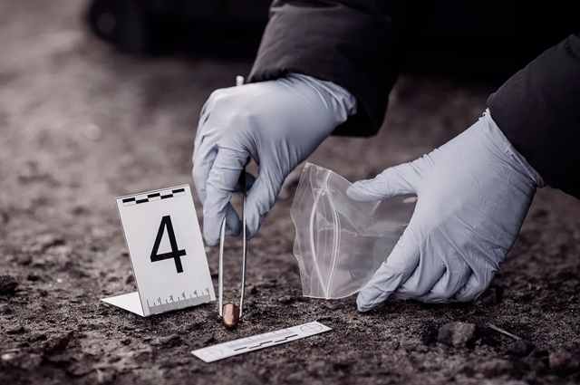 AUXILIAR EN CRIMINALÍSTICA